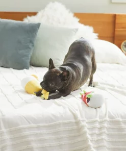 Frisco Brunch Bottomless Mimosas Plush Squeaky Dog Toy, 2 count -Frisco Sales 2024 297226 PT2. SY630 V1642088368