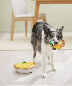 Frisco Brunch Quiche 2-in-1 Plush Squeaky Dog Toy 9 Frisco Brunch Quiche 2-in-1 Plush Squeaky Dog Toy -Frisco Sales 2024 297248 PT3. SY630 V1642089163