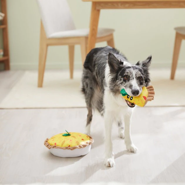 Frisco Brunch Quiche 2-in-1 Plush Squeaky Dog Toy 6 Frisco Brunch Quiche 2-in-1 Plush Squeaky Dog Toy - Image 4
