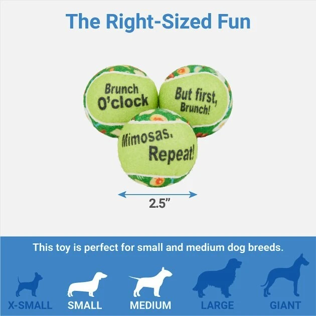 Frisco Brunch Fetch Squeaky Tennis Ball Dog Toy, 3 count 4 Frisco Brunch Fetch Squeaky Tennis Ball Dog Toy, 3 count - Image 2