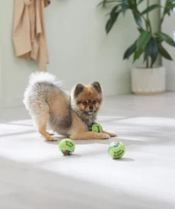 Frisco Brunch Fetch Squeaky Tennis Ball Dog Toy, 3 count 7 Frisco Brunch Fetch Squeaky Tennis Ball Dog Toy, 3 count -Frisco Sales 2024 297284 PT2. SY630 V1642088214