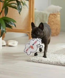 Frisco Brunch Thought Bubble Plush Squeaky Dog Toy -Frisco Sales 2024 297286 PT3. SY630 V1642087915