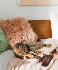 Frisco Brunch Bear & Fox Plush Cat Toy with Catnip, 2 count -Frisco Sales 2024 297290 PT2. SY630 V1642088814