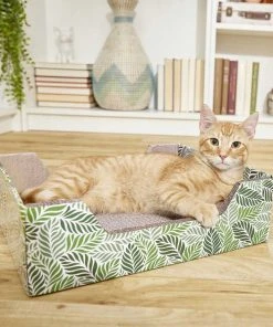 American Journey||Frisco American Journey Salmon Recipe Grain-Free Dry Cat Food, 12-lb bag + Frisco Step-In Cat Scratcher Toy with Catnip, Tropical Palms -Frisco Sales 2024 297820 PT6. SY630 V1623252150