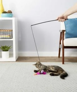 Blue Buffalo||Frisco Blue Buffalo Wilderness Chicken & Turkey Grain-Free Cat Treats, 2-oz bag + Frisco Bird Teaser with Feathers Cat Toy, Purple -Frisco Sales 2024 297848 PT7. SY630 V1621300350