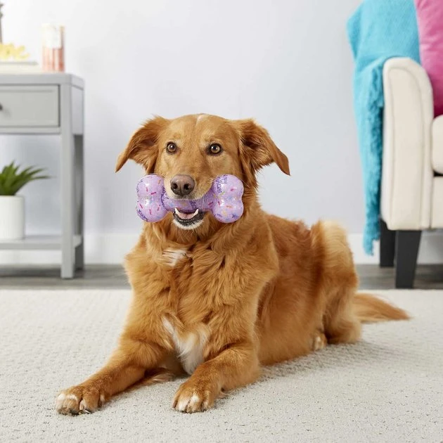 Frisco||The Lazy Dog Cookie Co. Frisco Birthday TPR Bone Dog Toy, Purple, Large + The Lazy Dog Cookie Co. Happy Birthday Pup-PIE Dog Treat, Girl 6 Frisco||The Lazy Dog Cookie Co. Frisco Birthday TPR Bone Dog Toy, Purple, Large + The Lazy Dog Cookie Co. Happy Birthday Pup-PIE Dog Treat, Girl - Image 4