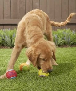 Frisco||The Lazy Dog Cookie Co. Frisco Fetch Squeaking Birthday Tennis Ball Dog Toy, 3-Pack + The Lazy Dog Cookie Co. Happy Birthday Pup-PIE Dog Treat, Boy -Frisco Sales 2024 297958 PT3. SY630 V1621303653