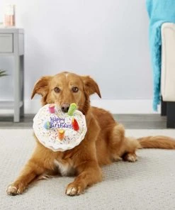 Frisco||The Lazy Dog Cookie Co. Frisco Plush Squeaking Birthday Cake Dog Toy, Small/Medium + The Lazy Dog Cookie Co. Happy Birthday Pup-PIE Dog Treat, Boy -Frisco Sales 2024 297998 PT3. SY630 V1623254849