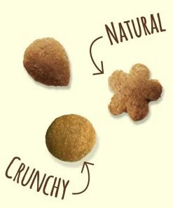 Friskies||Frisco Friskies Party Mix Natural Yums Catnip Flavor Cat Treats, 6-oz bag + Frisco Melamine Dog & Cat Treat Jar with Bamboo Lid, 8 Cups 12 Friskies||Frisco Friskies Party Mix Natural Yums Catnip Flavor Cat Treats, 6-oz bag + Frisco Melamine Dog & Cat Treat Jar with Bamboo Lid, 8 Cups -Frisco Sales 2024 298032 PT3. SY630 V1621270344