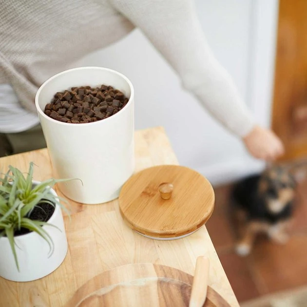 Friskies||Frisco Friskies Party Mix Natural Yums Catnip Flavor Cat Treats, 6-oz bag + Frisco Melamine Dog & Cat Treat Jar with Bamboo Lid, 8 Cups 9 Friskies||Frisco Friskies Party Mix Natural Yums Catnip Flavor Cat Treats, 6-oz bag + Frisco Melamine Dog & Cat Treat Jar with Bamboo Lid, 8 Cups - Image 7