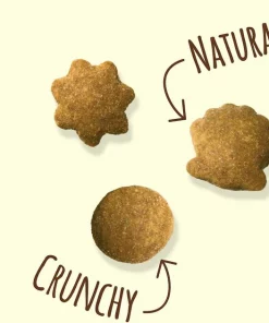 Friskies||Frisco Friskies Party Mix Natural Yums With Real Salmon Cat Treats, 6-oz pouch + Frisco Melamine Dog & Cat Treat Jar with Bamboo Lid, 8 Cups 12 Friskies||Frisco Friskies Party Mix Natural Yums With Real Salmon Cat Treats, 6-oz pouch + Frisco Melamine Dog & Cat Treat Jar with Bamboo Lid, 8 Cups -Frisco Sales 2024 298040 PT3. SY630 V1623251845