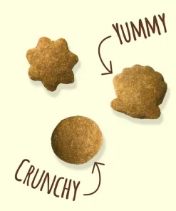 Friskies||Frisco Friskies Party Mix Natural Yums with Real Tuna Cat Treats, 6-oz bag + Frisco Melamine Dog & Cat Treat Jar with Bamboo Lid, 8 Cups 12 Friskies||Frisco Friskies Party Mix Natural Yums with Real Tuna Cat Treats, 6-oz bag + Frisco Melamine Dog & Cat Treat Jar with Bamboo Lid, 8 Cups -Frisco Sales 2024 298044 PT3. SY630 V1621261941