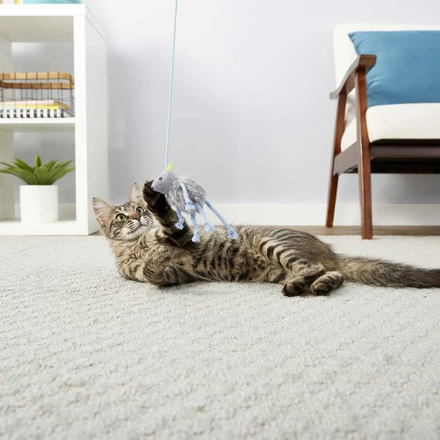 PureBites||Frisco PureBites Chicken Breast Freeze-Dried Raw Cat Treats, 2.3-oz bag + Frisco Bouncy Mouse Cat Toy, Blue 8 PureBites||Frisco PureBites Chicken Breast Freeze-Dried Raw Cat Treats, 2.3-oz bag + Frisco Bouncy Mouse Cat Toy, Blue - Image 6