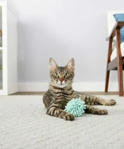 Sheba||Frisco Sheba Meaty Tender Sticks Chicken Cat Treats, 5 count + Frisco Moppy Ball Cat Toy, Blue -Frisco Sales 2024 298506 PT4. SY630 V1623197251