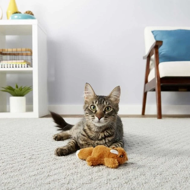 Sheba||Frisco Sheba Meaty Tender Sticks Tuna Flavored Cat Treats, 5 count + Frisco Refillable Catnip Cat Toy, Brown Squirrel 8 Sheba||Frisco Sheba Meaty Tender Sticks Tuna Flavored Cat Treats, 5 count + Frisco Refillable Catnip Cat Toy, Brown Squirrel - Image 6