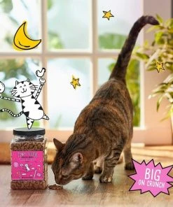 Tiny Tiger||Frisco Tiny Tiger Crunchy Bunch, Fearless Feathers and Gracious Gills, Chicken & Seafood Flavor Cat Treats, 20-oz Jar + Frisco Melamine Dog & Cat Treat Jar with Bamboo Lid, 8 Cups 12 Tiny Tiger||Frisco Tiny Tiger Crunchy Bunch, Fearless Feathers and Gracious Gills, Chicken & Seafood Flavor Cat Treats, 20-oz Jar + Frisco Melamine Dog & Cat Treat Jar with Bamboo Lid, 8 Cups -Frisco Sales 2024 298586 PT3. SY630 V1623202356