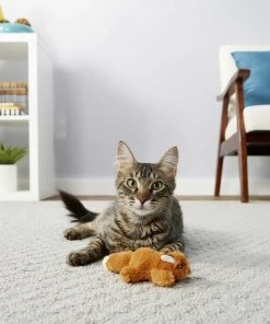 Weruva||Frisco Weruva Paw Lickin' Chicken in Gravy Grain-Free Canned Cat Food, 3-oz, case of 24 + Frisco Refillable Catnip Cat Toy, Brown Squirrel 13 Weruva||Frisco Weruva Paw Lickin' Chicken in Gravy Grain-Free Canned Cat Food, 3-oz, case of 24 + Frisco Refillable Catnip Cat Toy, Brown Squirrel -Frisco Sales 2024 298762 PT5. SY630 V1623200250