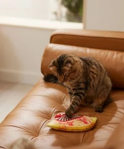 Frisco Fan Plush Squeaky Dog Toy 7 Frisco Fan Plush Squeaky Dog Toy -Frisco Sales 2024 298911 PT3. SY630 V1640269039