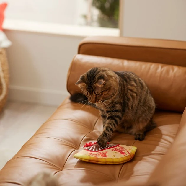 Frisco Fan Plush Squeaky Dog Toy 5 Frisco Fan Plush Squeaky Dog Toy - Image 3