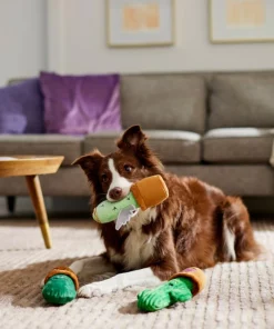 Frisco Cactus Plush Squeaky Dog Toy, 3 count 7 Frisco Cactus Plush Squeaky Dog Toy, 3 count -Frisco Sales 2024 298921 PT3. SY630 V1638987259