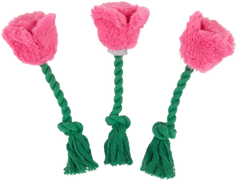 Frisco Roses Plush with Rope Squeaky Dog Toy, 3 count 3 Frisco Roses Plush with Rope Squeaky Dog Toy, 3 count