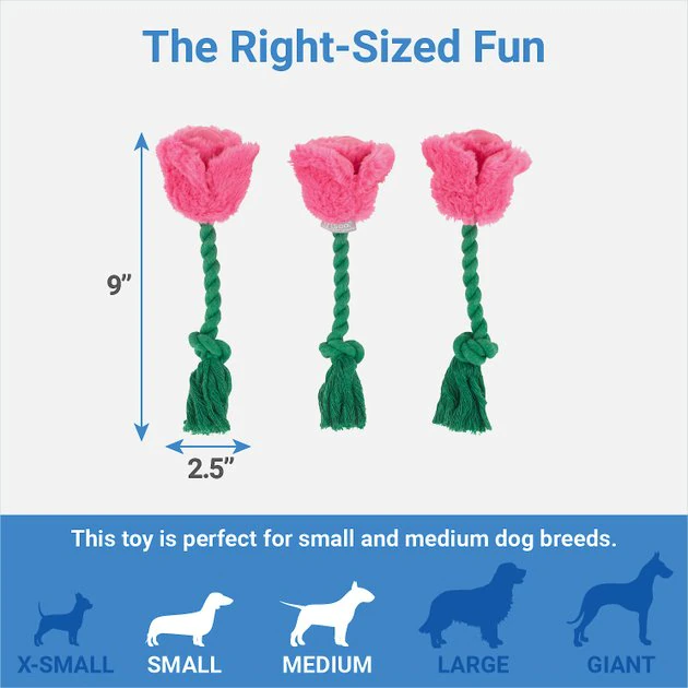 Frisco Roses Plush with Rope Squeaky Dog Toy, 3 count 4 Frisco Roses Plush with Rope Squeaky Dog Toy, 3 count - Image 2