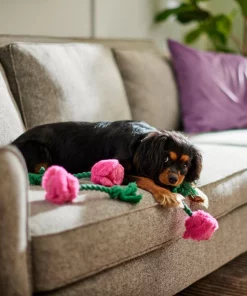 Frisco Roses Plush with Rope Squeaky Dog Toy, 3 count 7 Frisco Roses Plush with Rope Squeaky Dog Toy, 3 count -Frisco Sales 2024 298939 PT3. SY630 V1638987402