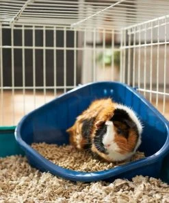 Frisco Corner Litter Box, Navy, Small + Small Animal Bedding, White -Frisco Sales 2024 301912 PT3. SY630 V1644970054