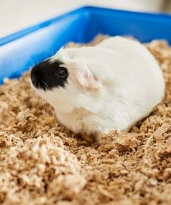 Frisco High Sided Litter Box + Small Animal Bedding, Nautral -Frisco Sales 2024 301934 PT6. SY630 V1644966762