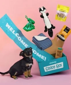 Goody Box||Frisco Goody Box Puppy Toys, Treats & Potty Training + Frisco Extra Large Training & Potty Pads, 28 x 34-in -Frisco Sales 2024 301946 PT6. SY630 V1657656678