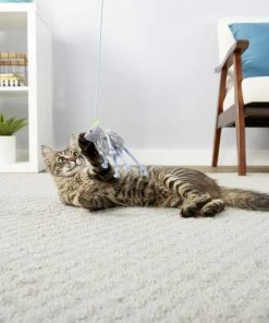 Goody Box||Frisco Goody Box Kitten Toys & Treats + Frisco Multi-Cat Unscented Clumping Clay Cat Litter -Frisco Sales 2024 301962 PT3. SY630 V1622821958