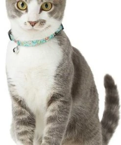 Goody Box||Frisco Goody Box Kitten Toys & Treats + Frisco Multi-Cat Unscented Clumping Clay Cat Litter -Frisco Sales 2024 301962 PT4. SY630 V1622824042