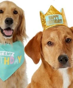 Frisco Birthday Bandana, X-Small/Small + Dog & Cat Crown, X-Small/Small -Frisco Sales 2024 302372 PT2. SY630 V1633071996