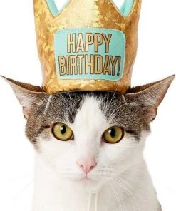 Frisco Birthday Bandana, X-Small/Small + Dog & Cat Crown, X-Small/Small -Frisco Sales 2024 302372 PT4. SY630 V1633061817