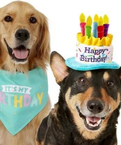 Frisco Birthday B&ana, X-Small/Small + Dog & Cat Hat, X-Small/Small 13 Frisco Birthday B&ana, X-Small/Small + Dog & Cat Hat, X-Small/Small -Frisco Sales 2024 302374 PT2. SY630 V1633061815