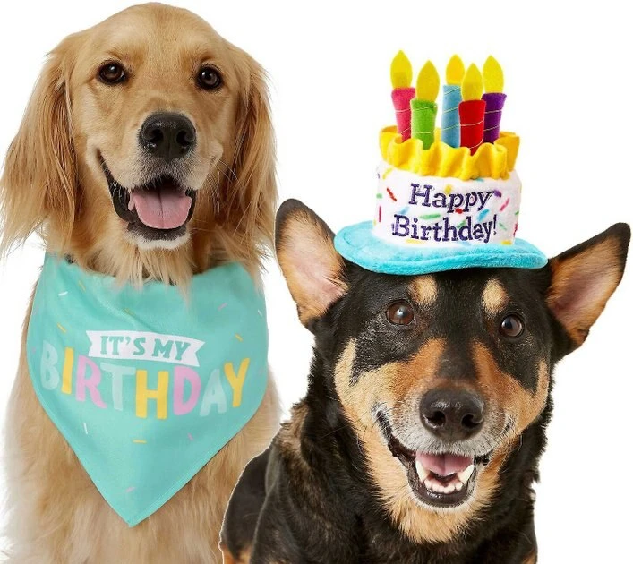 Frisco Birthday B&ana, X-Small/Small + Dog & Cat Hat, X-Small/Small 5 Frisco Birthday B&ana, X-Small/Small + Dog & Cat Hat, X-Small/Small - Image 3