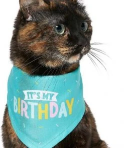 Frisco Birthday B&ana, X-Small/Small + Dog & Cat Hat, X-Small/Small 14 Frisco Birthday B&ana, X-Small/Small + Dog & Cat Hat, X-Small/Small -Frisco Sales 2024 302374 PT3. SY630 V1633076486