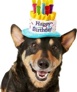 Frisco Birthday B&ana, X-Small/Small + Dog & Cat Hat, X-Small/Small 15 Frisco Birthday B&ana, X-Small/Small + Dog & Cat Hat, X-Small/Small -Frisco Sales 2024 302374 PT4. SY630 V1633078001