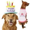 Frisco Birthday Cake Hat, Medium/Large + Dog & Cat T-Shirt, Pink