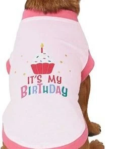 Frisco Birthday Cake Hat, Medium/Large + Dog & Cat T-Shirt, Pink -Frisco Sales 2024 302384 PT5. SY630 V1623084453