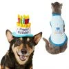 Frisco Birthday Cake Hat, X-Small/Small + Dog & Cat T-Shirt, Blue -Frisco Sales 2024 302392 MAIN. SY630 V1623079046