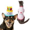 Frisco Birthday Cake Hat, X-Small/Small + Dog & Cat T-Shirt, Pink
