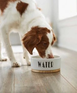 Frisco Ceramic Bowl with Wood Base, 2.5 Cups + Treat Jar, 4 Cups -Frisco Sales 2024 302412 PT3. SY630 V1623071551