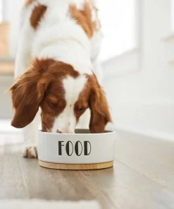 Frisco Ceramic Dog Bowl with Wood Base, 2.5 Cups + Treat Jar, 4 Cups -Frisco Sales 2024 302418 PT4. SY630 V1623088650