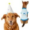Frisco Confetti Birthday Hat, Medium/Large + Dog & Cat T-Shirt, Blue -Frisco Sales 2024 302428 MAIN. SY630 V1623064656