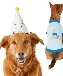 Frisco Confetti Birthday Hat, Medium/Large + Dog & Cat T-Shirt, Blue