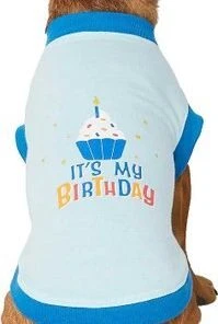 Frisco Confetti Birthday Hat, Medium/Large + Dog & Cat T-Shirt, Blue -Frisco Sales 2024 302428 PT5. SY630 V1623082953