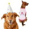 Frisco Confetti Birthday Hat, Medium/Large + Dog & Cat T-Shirt, Pink