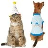 Frisco Confetti Birthday Hat, Small/Medium + Dog & Cat T-Shirt, Blue -Frisco Sales 2024 302442 MAIN. SY630 V1623087479