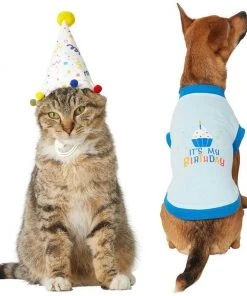 Frisco Confetti Birthday Hat, Small/Medium + Dog & Cat T-Shirt, Blue